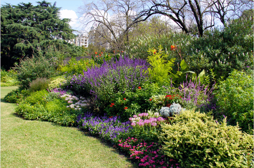 提示沪上这些获奖的花坛花境你看到过吗