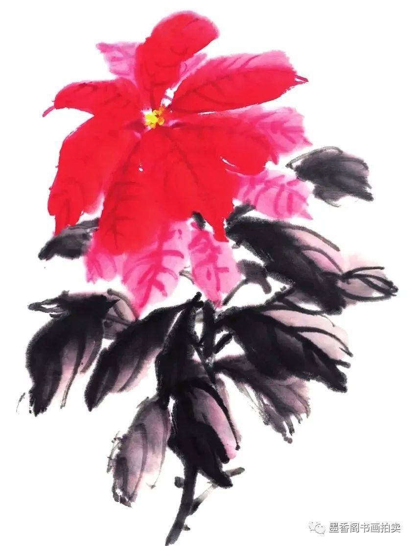 国画教程:一品红的写意画法