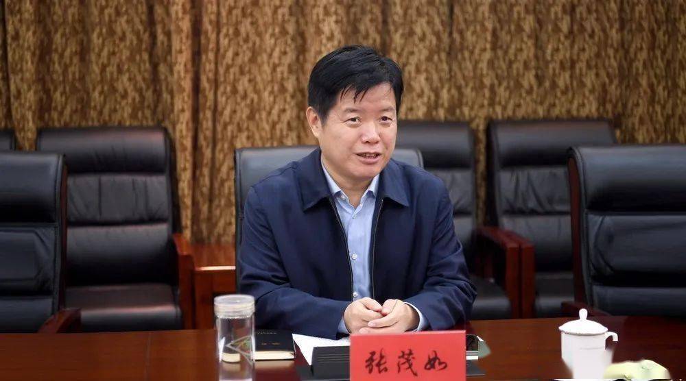 张茂如高度评价了枣矿集团近年改革发展成效,高度赞誉了枣矿集团为