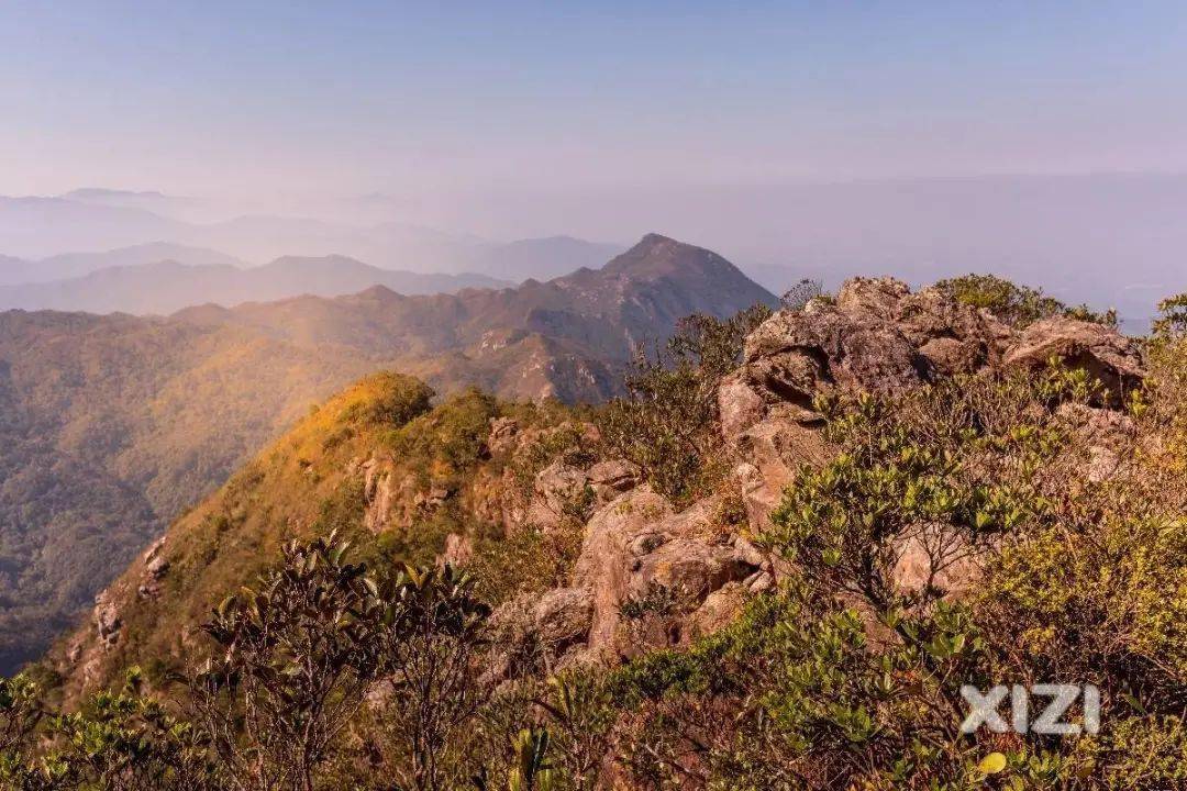 部分來源:九龍峰旅遊區新冠肺炎防控指揮部