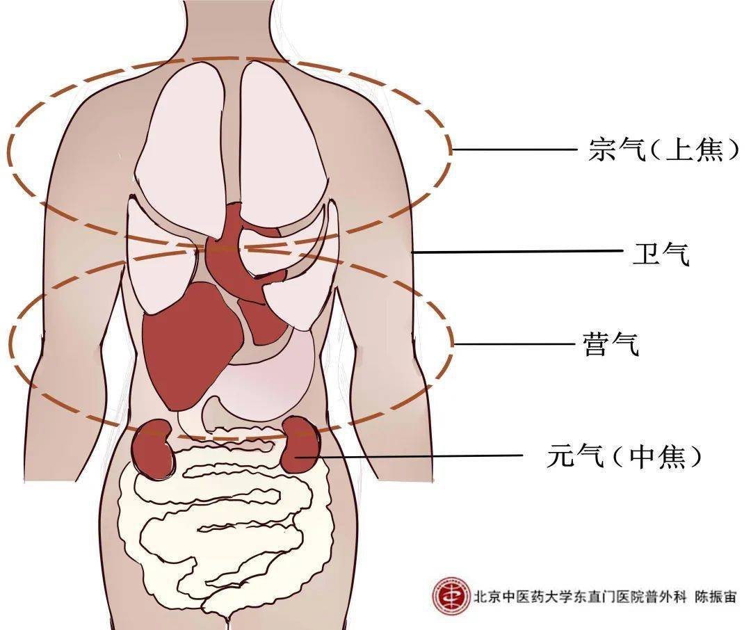 指导下的手术操作对人体造成的伤害已经远远低于几十年前传统手术模式