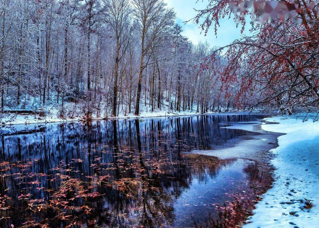 飞雪时节来阿木尔北极岛看一看童话世界的模样