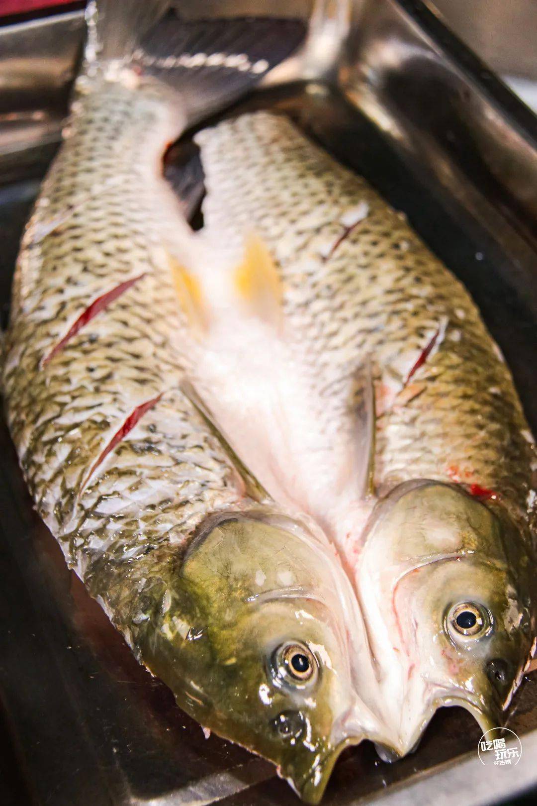 29.9秒杀『 帅锅 』正宗万州炭火烤鱼双人套餐!力度大到hold不住!