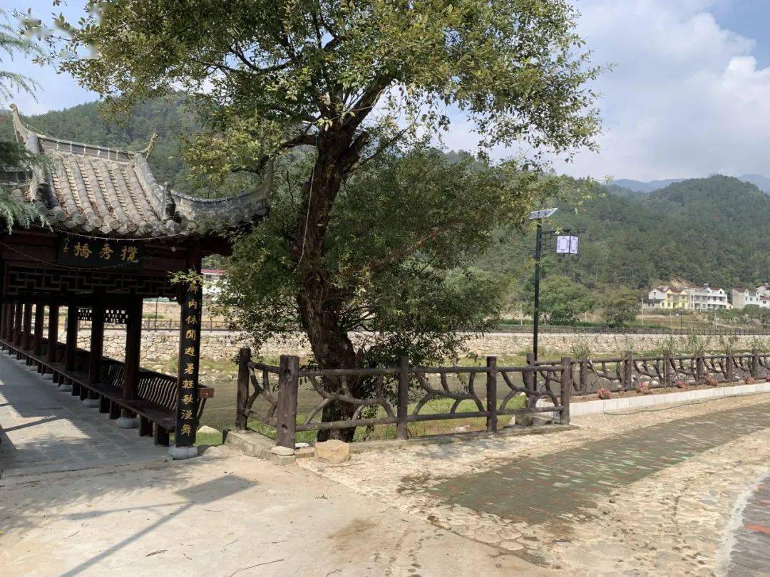 今日英山美丽库区村