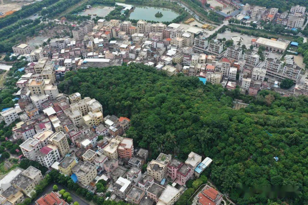 实名羡慕南沙这条村颜值爆表