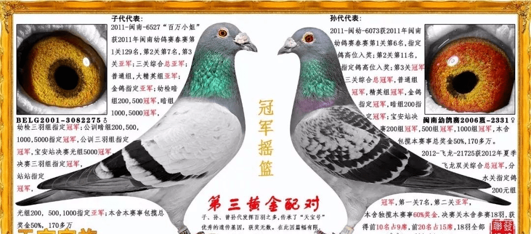 難得一見