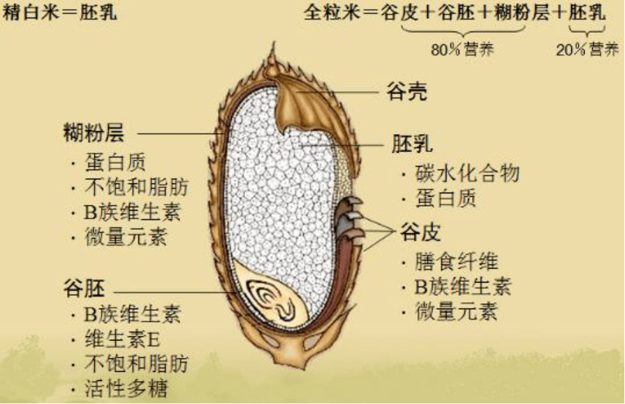 知识当心你吃的全谷物很可能是假的