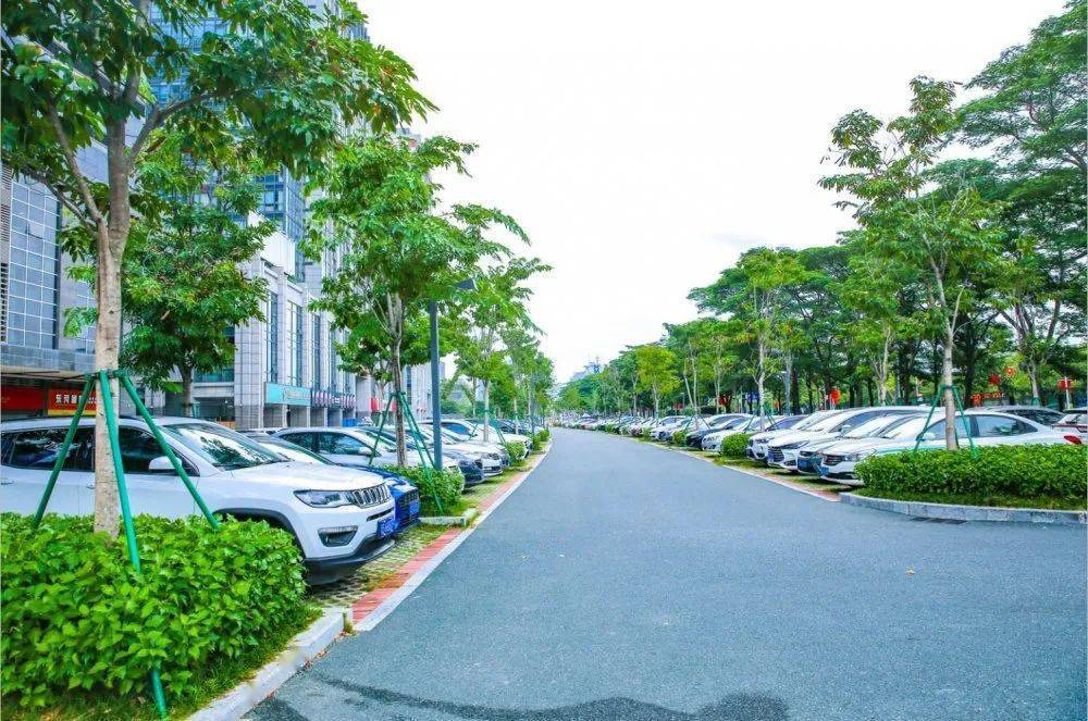 乡村振兴系列报道②丨让出行更便捷南城大动作建设停车场