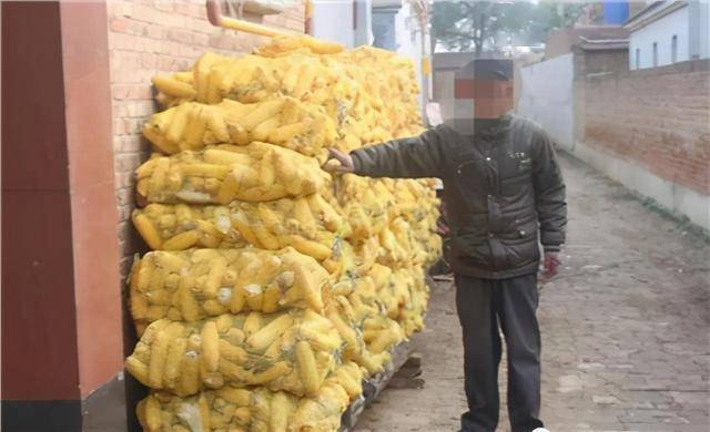 笨贼雨夜偷玉米玉米粒一路撒到家门口