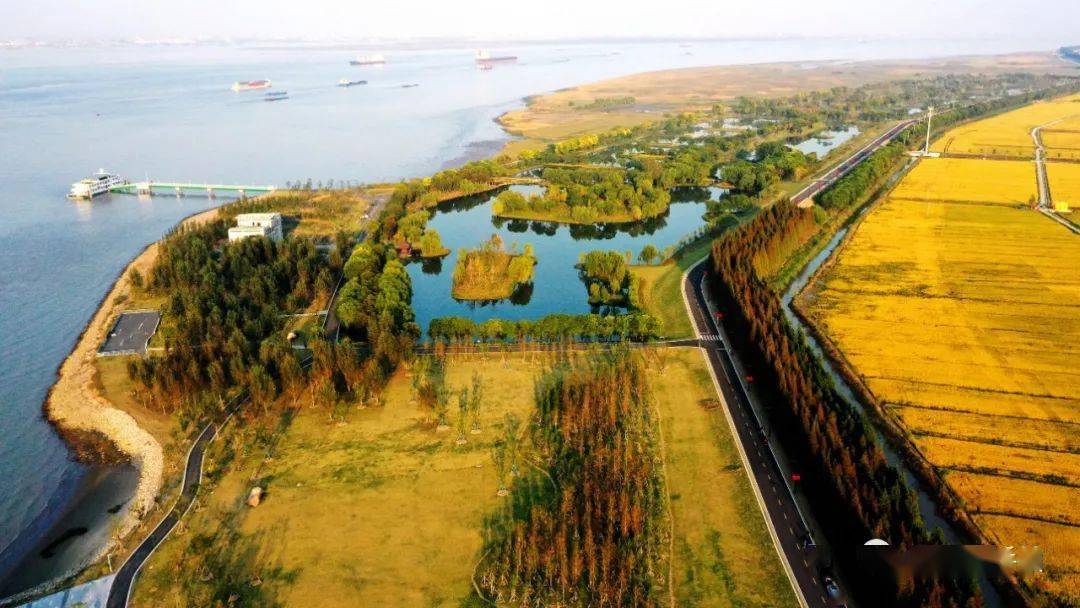 航拍港城张家港湾秋色如画