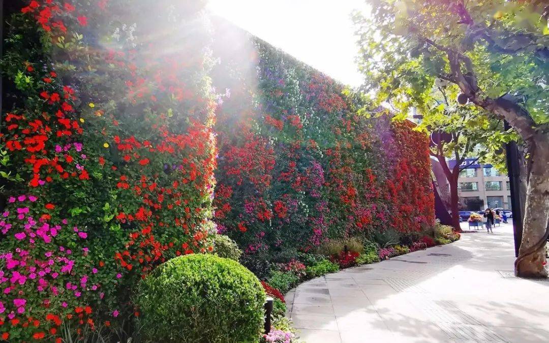 這個週末來靜安雕塑公園打卡網紅花牆順便逛個展吧