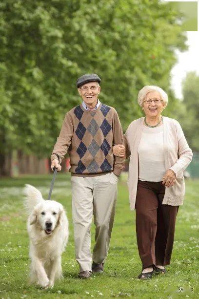 重阳节送老人一条宠物吧