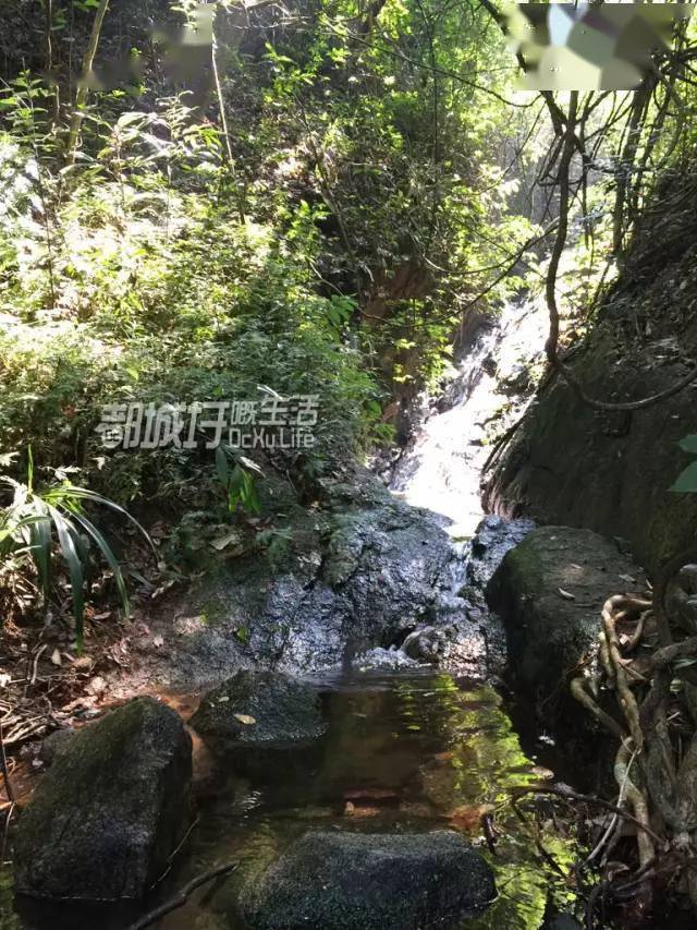 【大王山森林公園:文德塔】