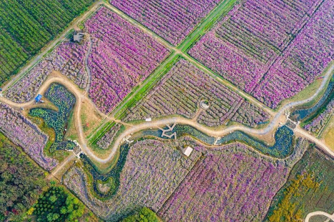 智慧旅遊抓住秋天的小尾巴向別橋原鄉出發吧