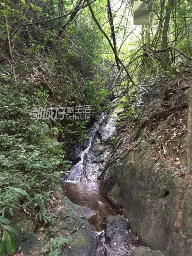 【大王山森林公園:文德塔】