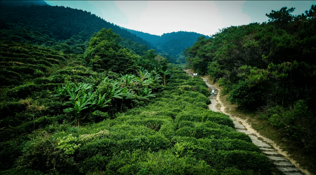 贵港平顶山森林公园图片