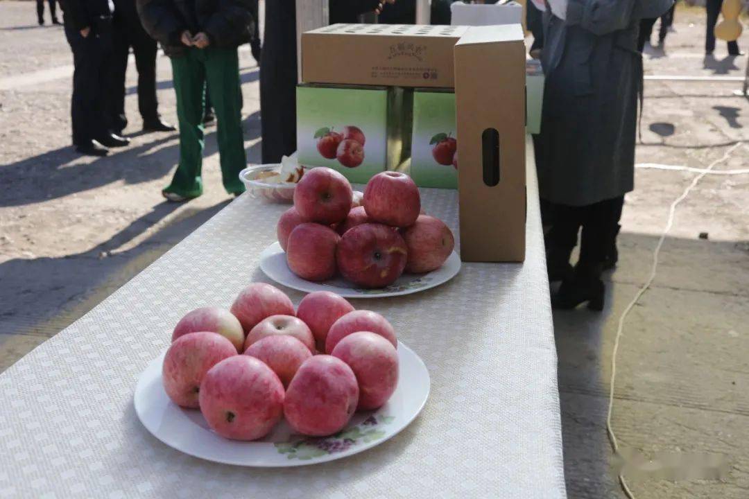 为进一步促进果品销售,增加果农收入,张山营镇政府组织区果树协会和