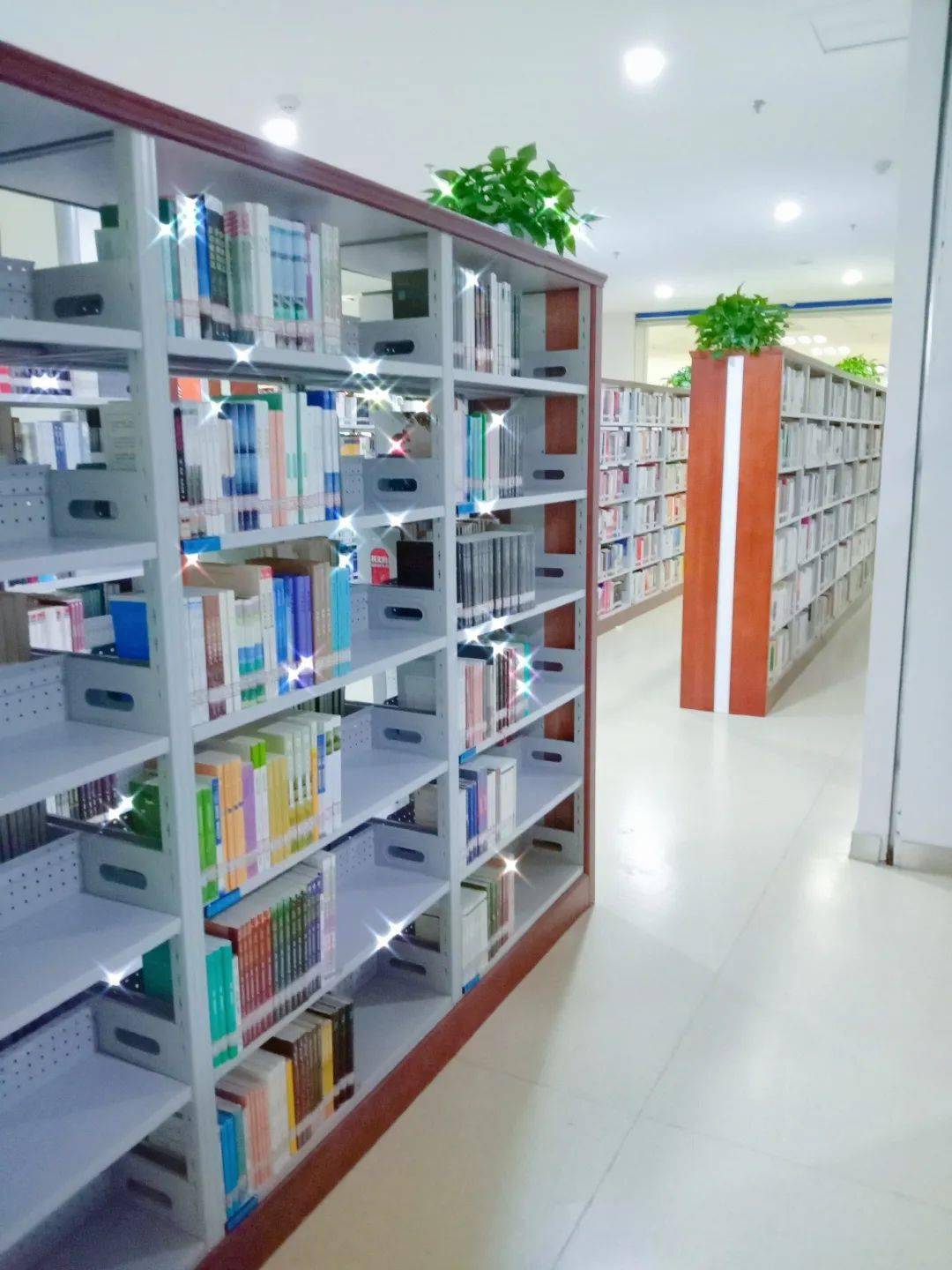 青大图书馆你所不知道的那些故事