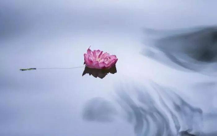 个好的心态,可以使你战胜面临的苦难;一个好的心态,可以使你淡泊名利