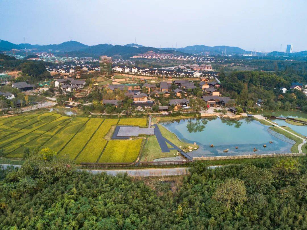 莫干溪谷实拍图融创·莫干溪谷以日本休闲观光农园之父木村修先生