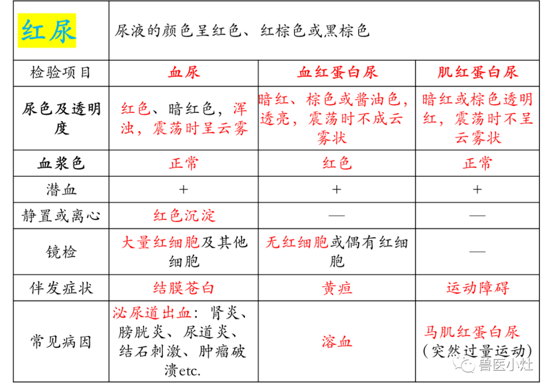 尿液发红怎么回事图片