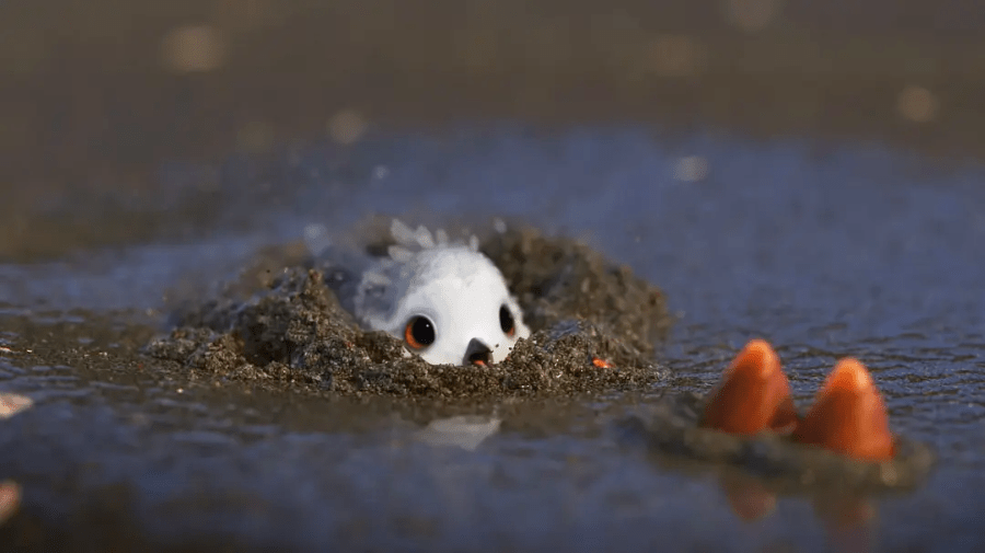 没有办法,小矶鹬只能走向海边,独自去面对未知的世界.