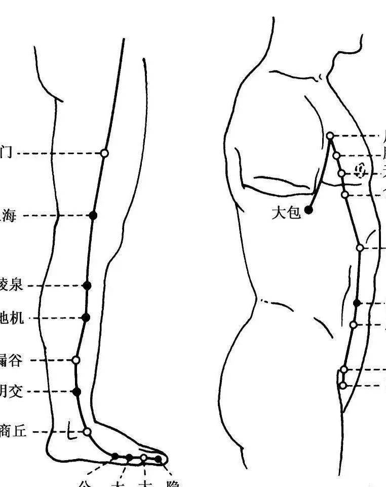 足太阴脾经 来自搜狐网