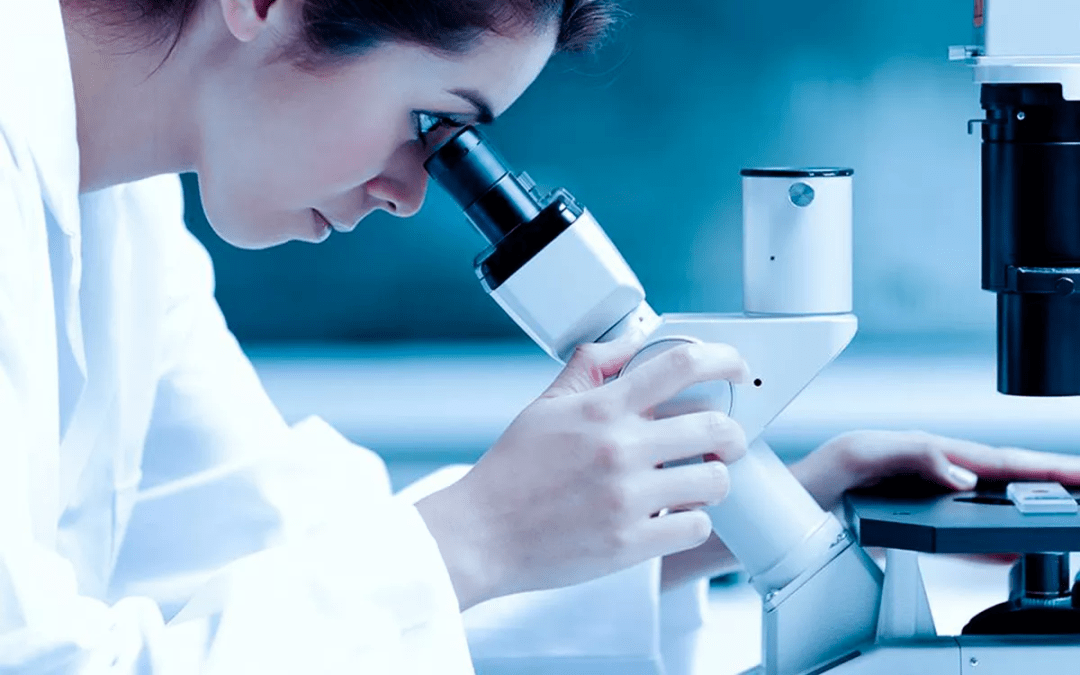 日本殿堂级科研护肤品牌pola 进驻海港城