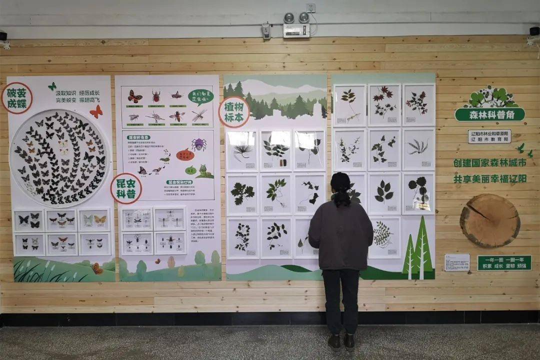 资讯森林科普角校园大课堂走进辽阳市中小学森林生态科普角