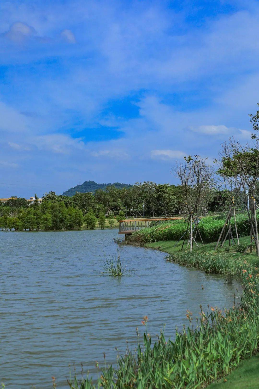 首次曝光720全景身临其境带你漫游宝安人才林公园