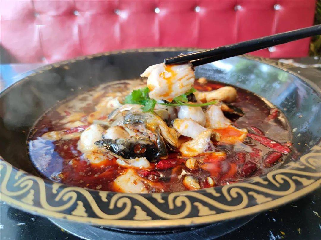 火火火锅大活动158元抢3斤活鱼锅更有15份火锅涮菜只要398元抢快来渔