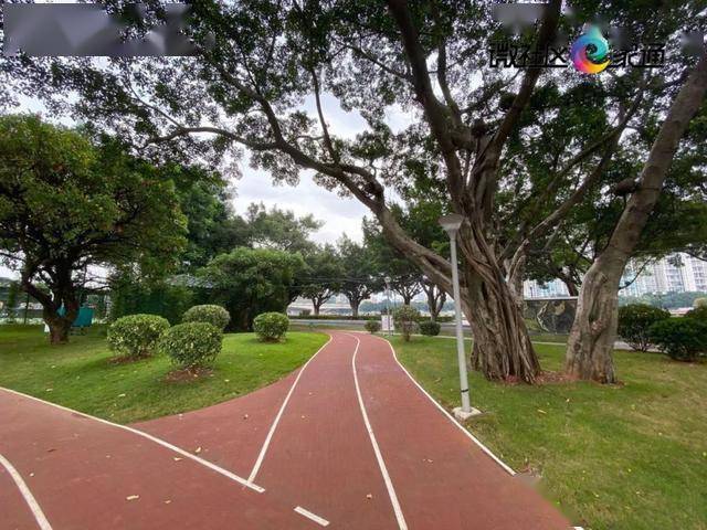 越秀二沙島體育公園正式開放多類運動器械滿足各年齡層需求各類球場