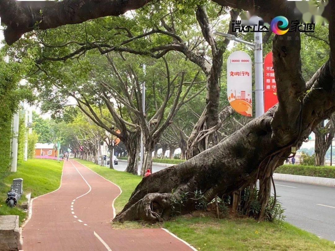 二沙島體育公園正式開放多類運動器械滿足各年齡層需求各類球場開放