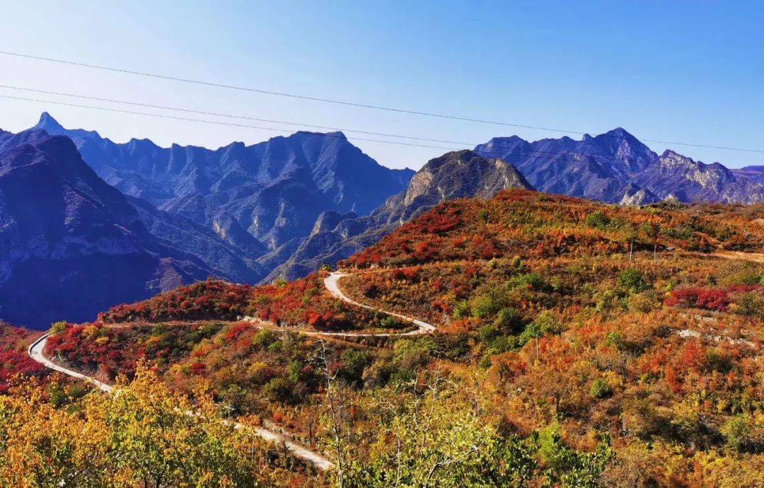 去大安山,一起陶醉于秋色美图中隐藏的诗句