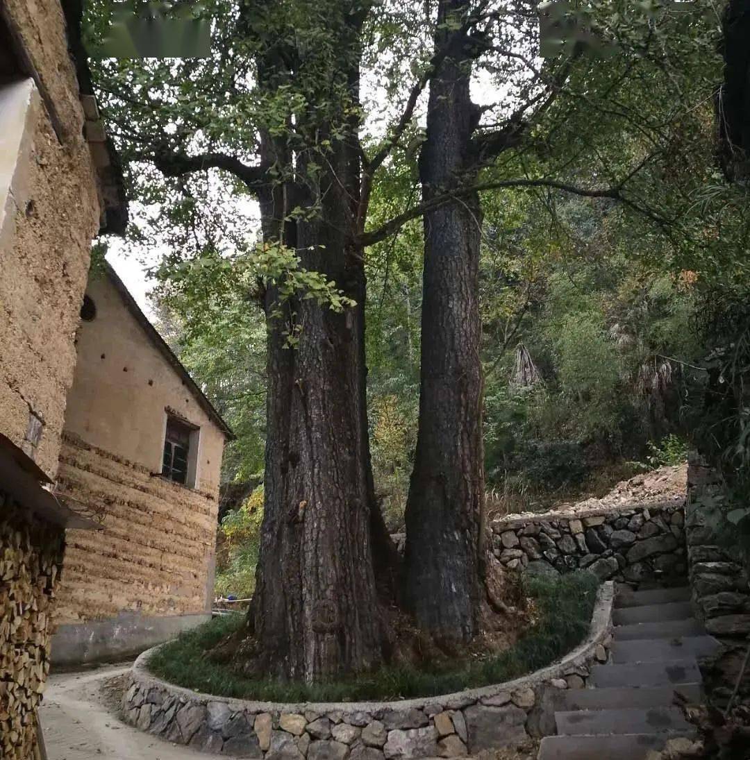 九大工程首次亮相富阳这些地方大变样