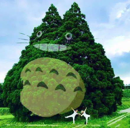 三次元的龙猫日本山形县的龙猫树让人直呼可爱