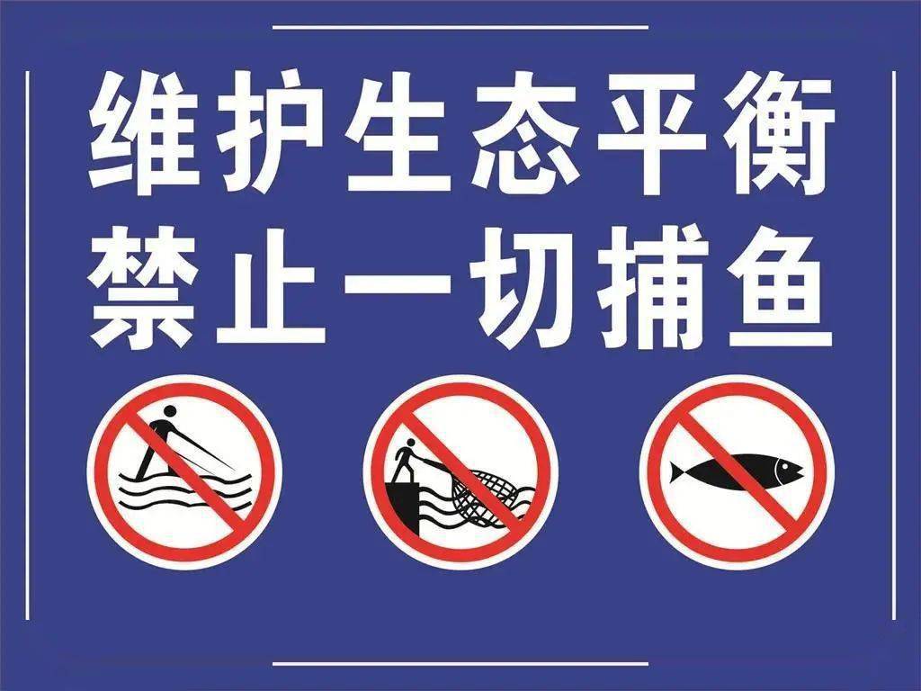 顶风作案!马鞍山12人被官方通报处罚!_捕捞