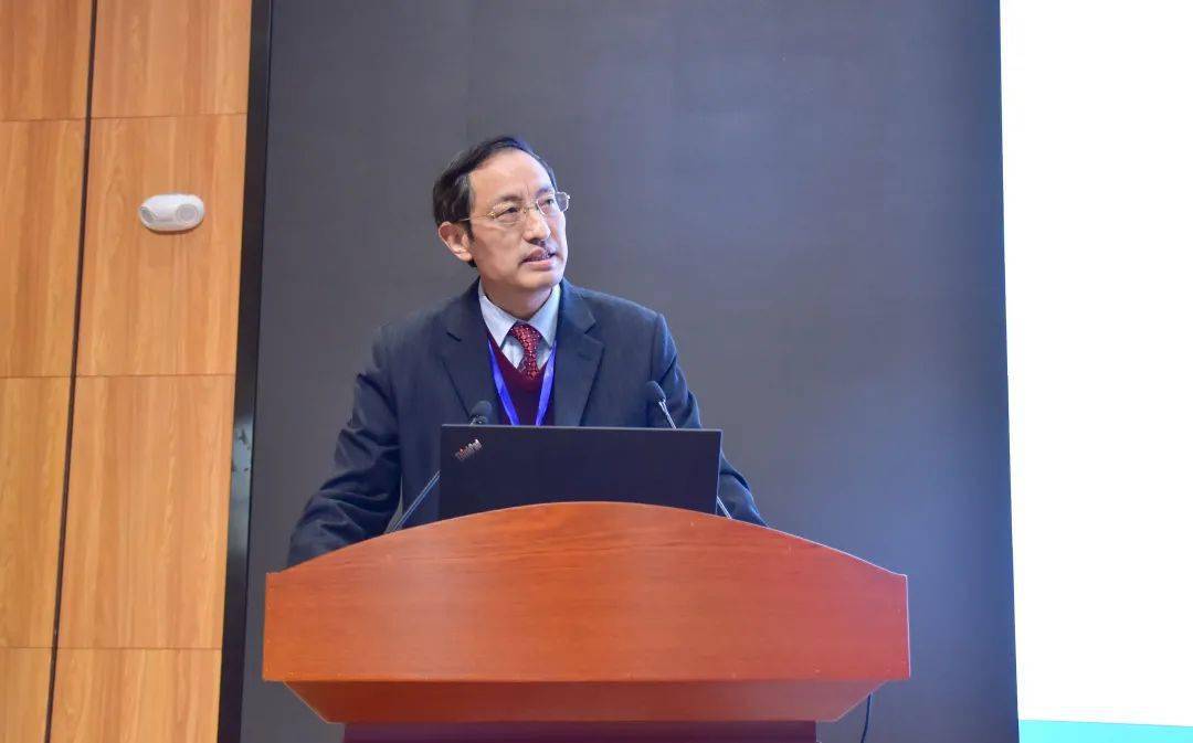 杨明星教授发言郑州大学中国外交话语研究院(河南省高校人文社科重点