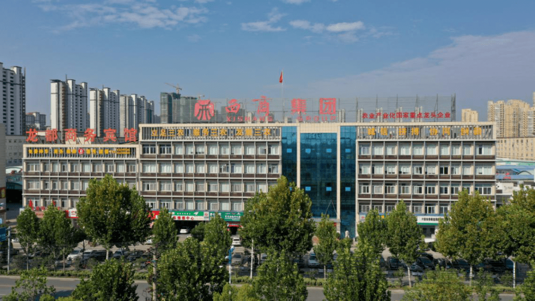 实力西商魅力前行西商集团稳健发展过程中优势分享