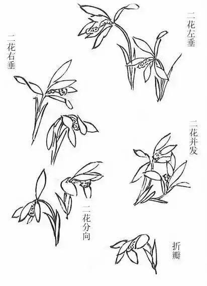 国画教程兰花怎么画取法芥子园