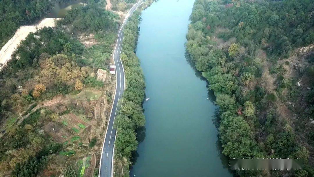 "义乌大熊猫"现身南江?咋回事