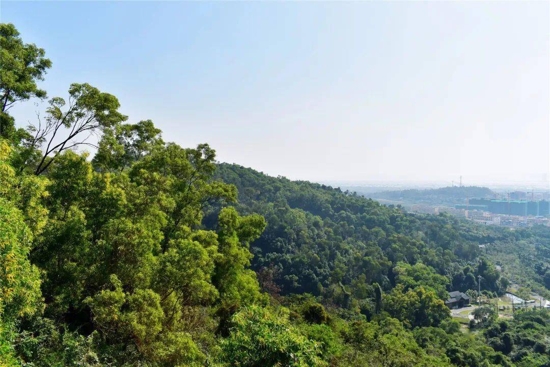 秋高气爽是时候来犁头尖山爬山啦