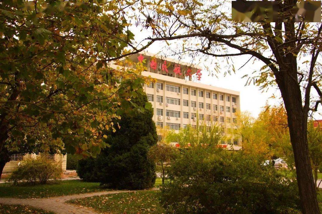 王莹老师中欧航空工程师学院第二十一期2020年度