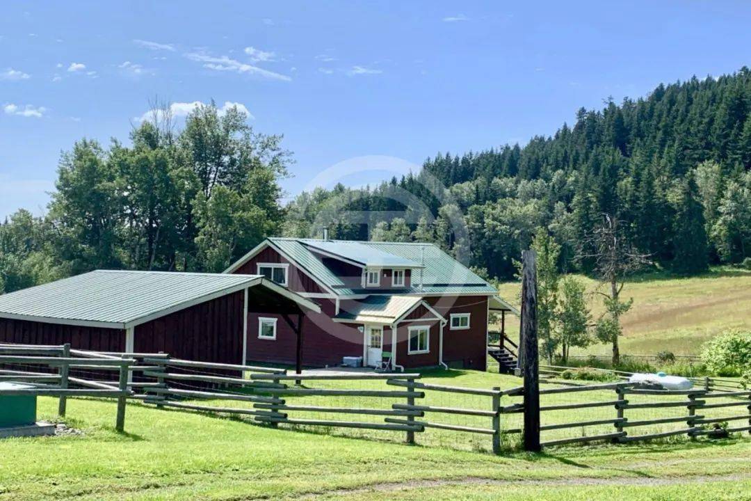 加拿大牧场生活,打工人直呼内行