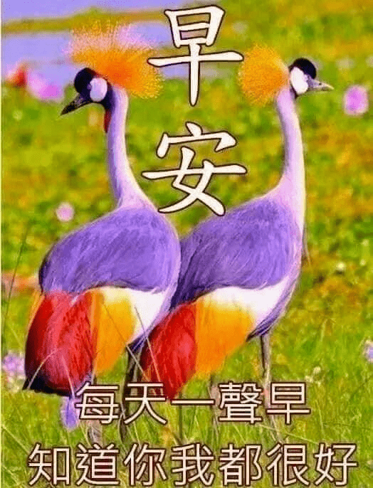 最新版非常漂亮的早上好表情图片温馨早安心语语录