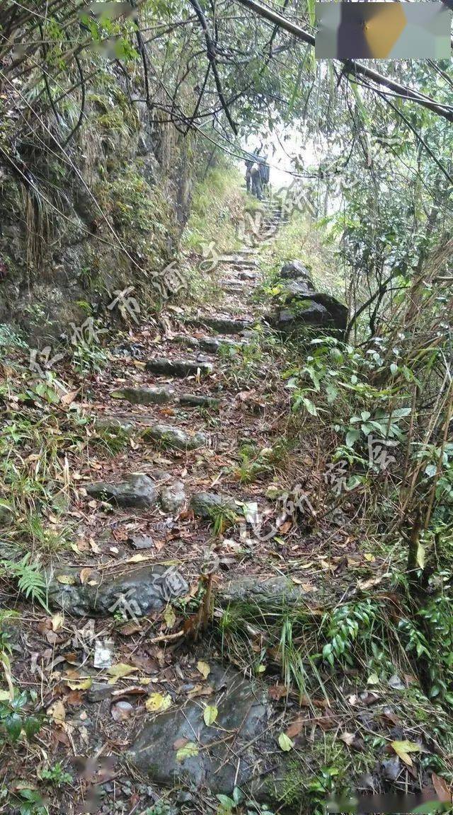 渡口旁的立巖村,成為仁懷醬香型白酒釀造的