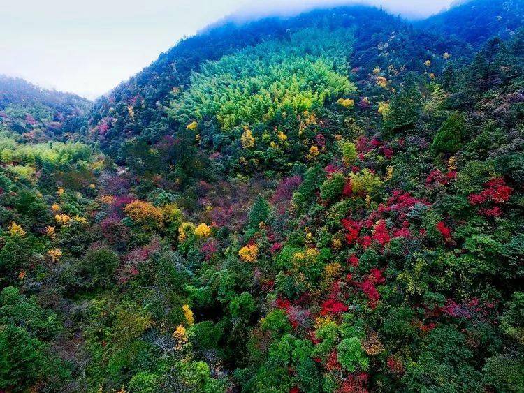 来炎陵五彩谷吧这里是湖南秋天最美的地方