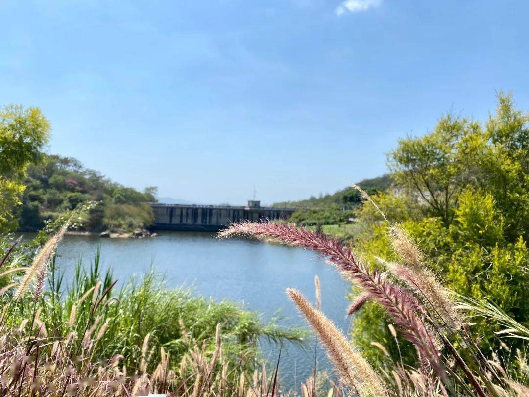 九龙塘食府(铁疗店)598~1588元套餐/100元代金券,坐拥环山萃绿,品地道