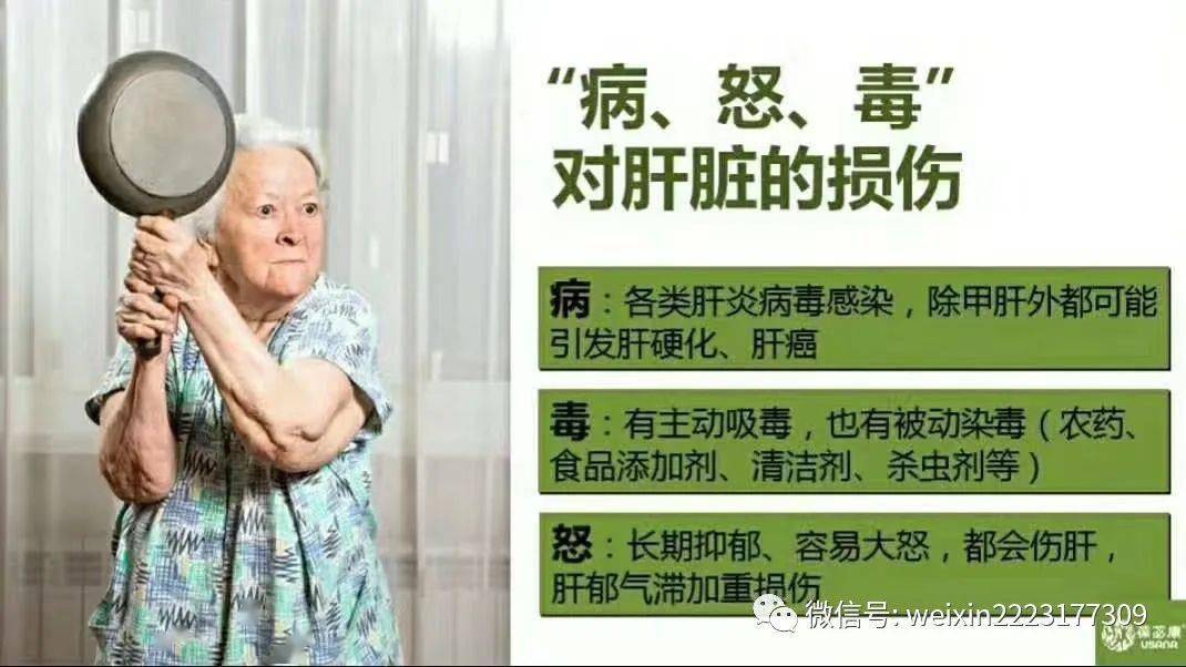 肝脏有10大功能和作用保护肝脏我们义不容辞