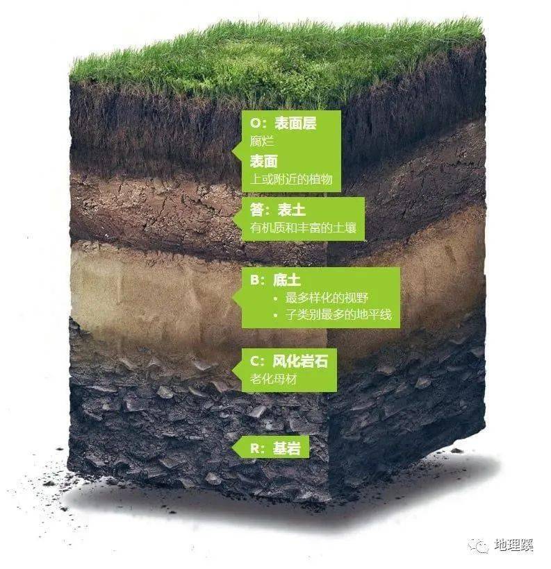 土壤形成的过程发生在数千年的时间里